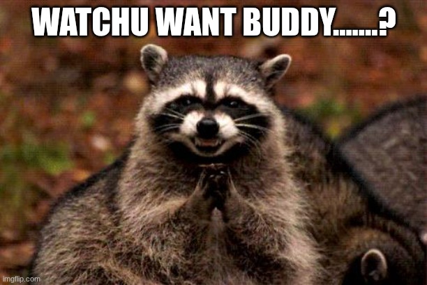 Evil Plotting Raccoon Meme | watchu want buddy.......? | image tagged in memes,evil plotting raccoon | made w/ Imgflip meme maker