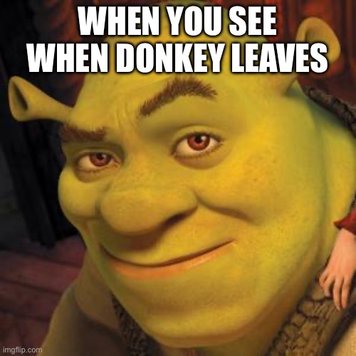 Shrek Sexy Face | When you see when donkey leaves | image tagged in shrek sexy face | made w/ Imgflip meme maker