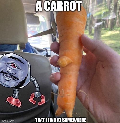 Carrot | A carrot; That i find at somewhere | image tagged in img_0935 jpeg,sus,carrot,weird stuff i do potoo | made w/ Imgflip meme maker