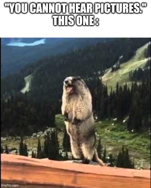 Screaming beaver | "You cannot hear pictures."
This one : | image tagged in screaming beaver | made w/ Imgflip meme maker