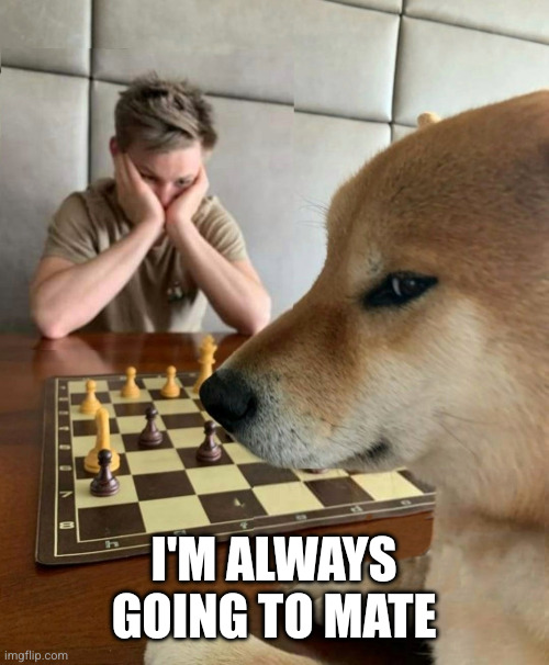 Chess doge | I'm always going to mate | image tagged in chess doge | made w/ Imgflip meme maker