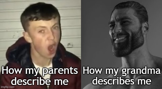 *W grandma* | How my parents describe me; How my grandma describes me | image tagged in average enjoyer meme,relatable,funny,memes,parents,grandma | made w/ Imgflip meme maker