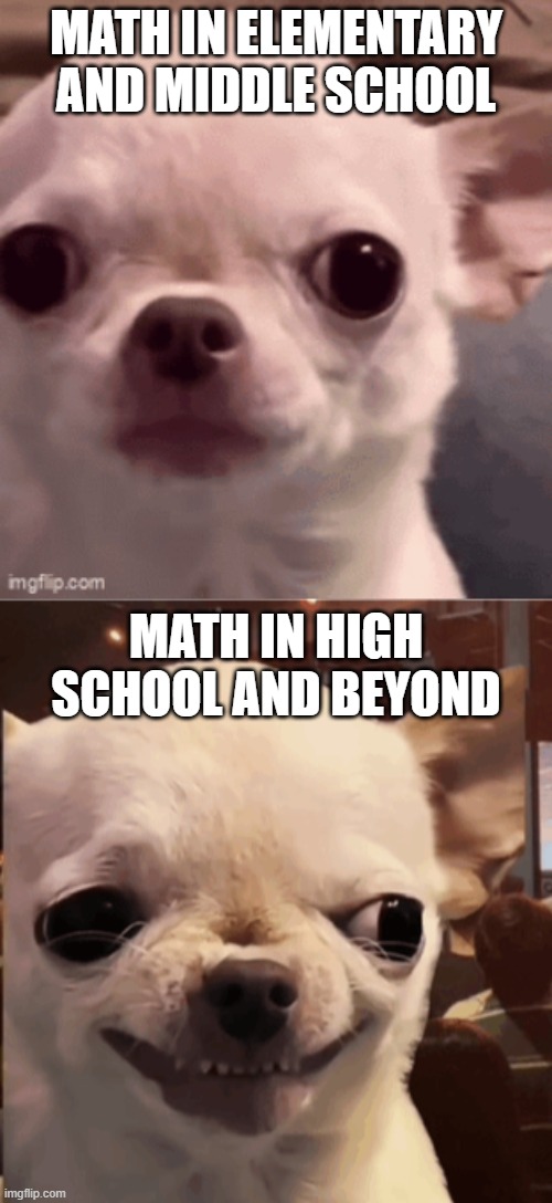 Evil Math Dog | Math in elementary and middle school; Math in high school and beyond | image tagged in math,evil | made w/ Imgflip meme maker