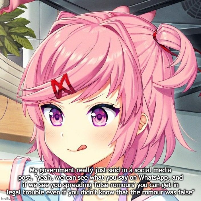 risky ass post | My government really just said in a social media post, "yeah, we can see what you say on WhatsApp, and if we see you spreading 'false romours' you can get in legal trouble even if you didn't know that the romour was false" | image tagged in natsuki | made w/ Imgflip meme maker