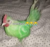 Contact Blank Meme Template