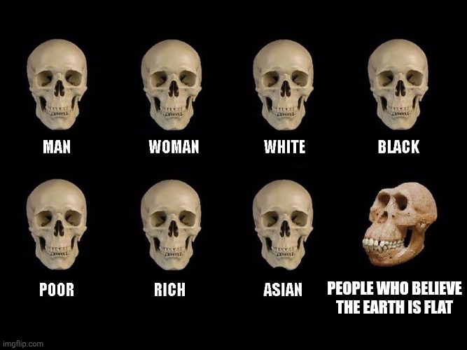 Some Random Meme I Made | People Who Believe The Earth Is Flat | image tagged in empty skulls of truth | made w/ Imgflip meme maker