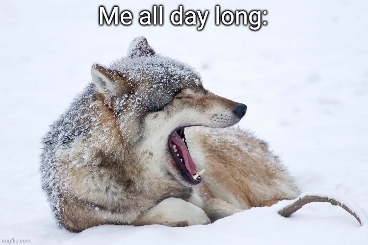 Yawning wolf | Me all day long: | image tagged in yawning wolf | made w/ Imgflip meme maker