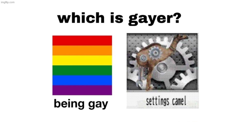 Which Is Gayer? | image tagged in which is gayer | made w/ Imgflip meme maker