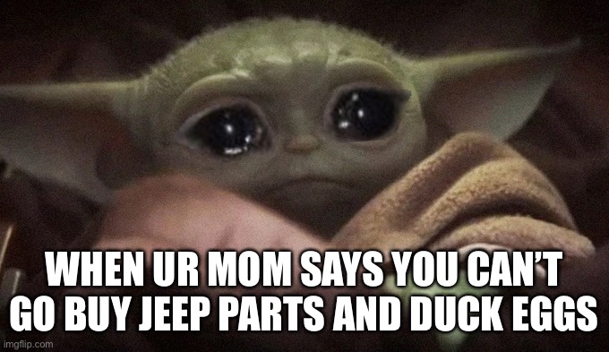 So random and stupid it’s funny | When ur mom says you can’t go buy Jeep parts and duck eggs | image tagged in crying baby yoda,jeep,eggs,random,funny,another random tag i decided to put | made w/ Imgflip meme maker