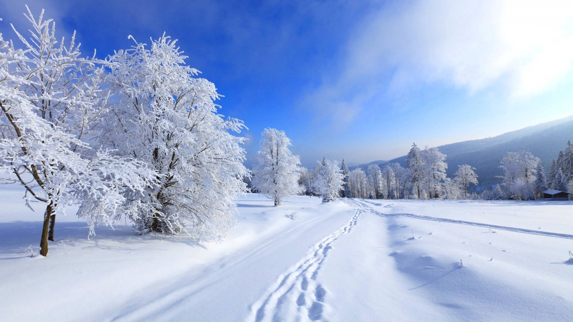 Winter Landscape Blank Meme Template