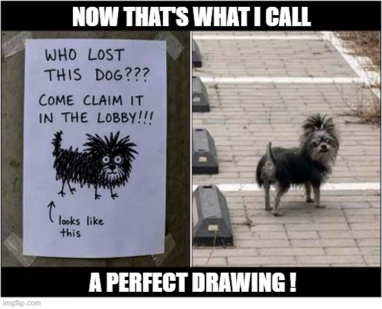 Missing Dog ? | now that's what I Call; a perfect drawing ! | image tagged in dogs,missing,poster | made w/ Imgflip meme maker