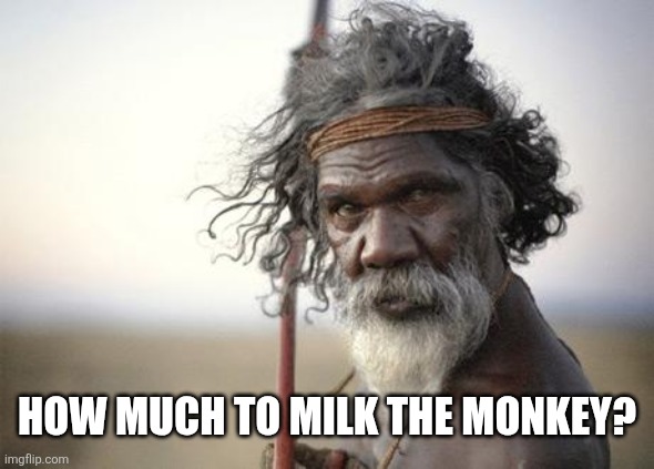 Aboriginal | How much to milk the monkey? | image tagged in aboriginal | made w/ Imgflip meme maker