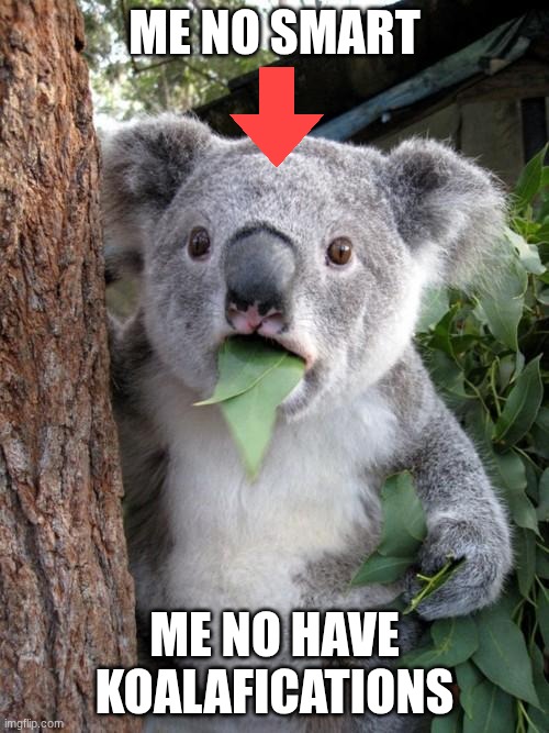 go to school kola's! | me no smart; me no have koalafications | image tagged in memes,surprised koala,school | made w/ Imgflip meme maker