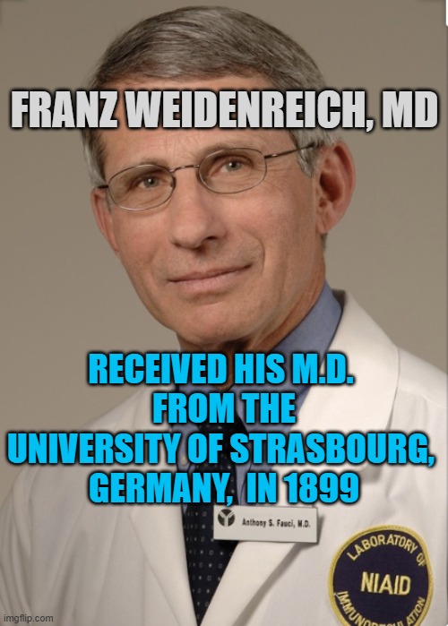 Dr Fauci | Franz Weidenreich, md received his M.D. 
from the
University of Strasbourg, 
Germany,  in 1899 | image tagged in dr fauci | made w/ Imgflip meme maker