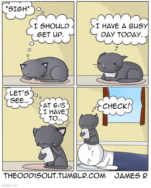 He gets things done! | image tagged in cats,comics,the odd 1s out,schedule,busy day,sitting on head | made w/ Imgflip meme maker