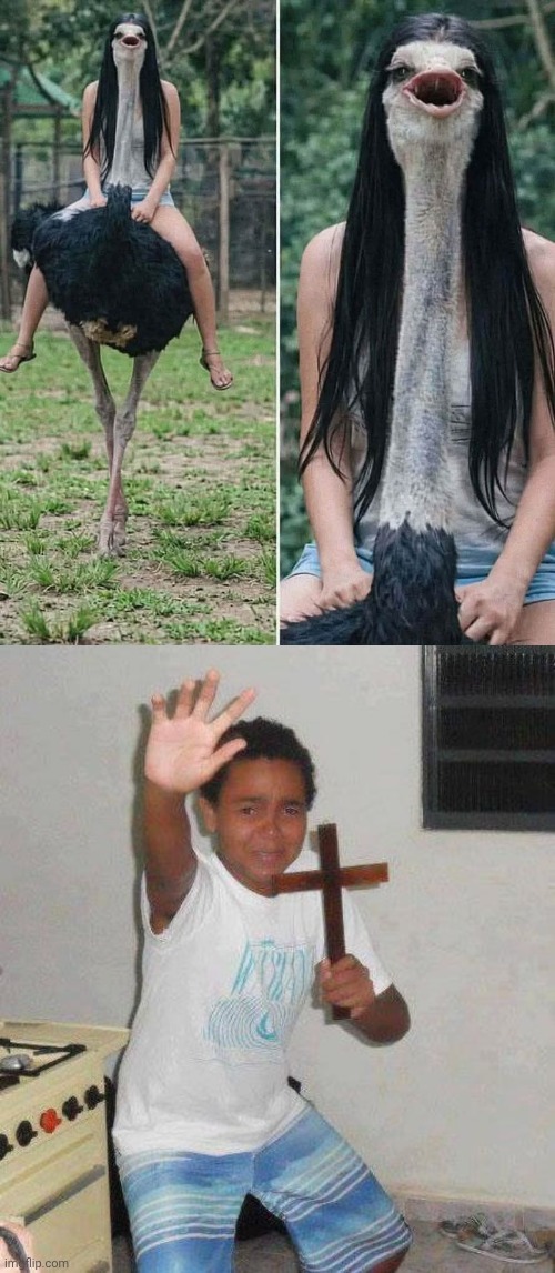 image tagged in kid with cross,ostrich,cursed | made w/ Imgflip meme maker