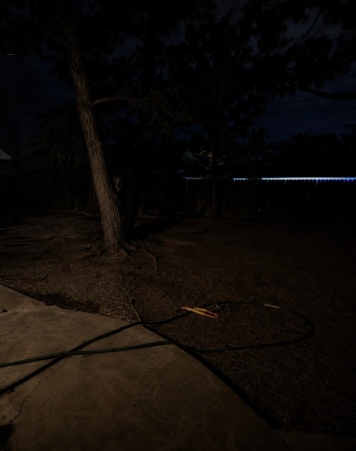 Do you see that? | image tagged in my backyard | made w/ Imgflip meme maker