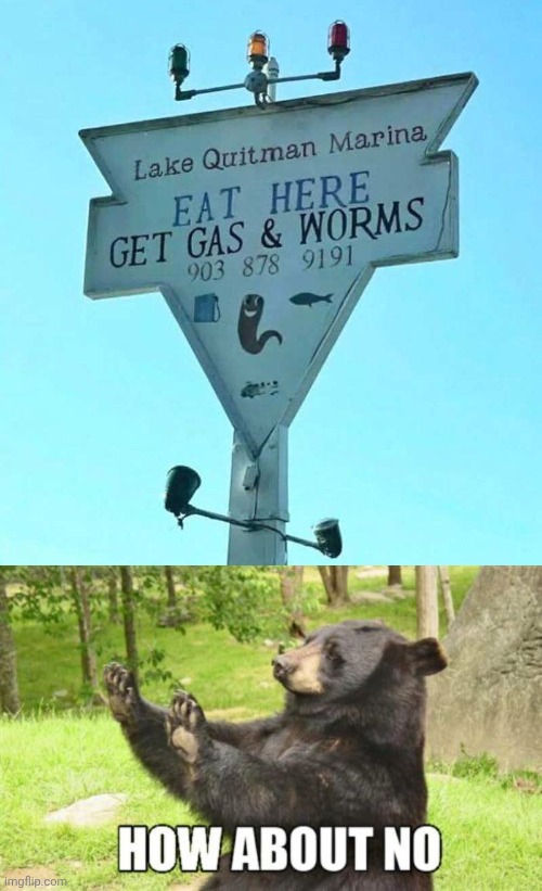 image tagged in memes,how about no bear,funny signs | made w/ Imgflip meme maker
