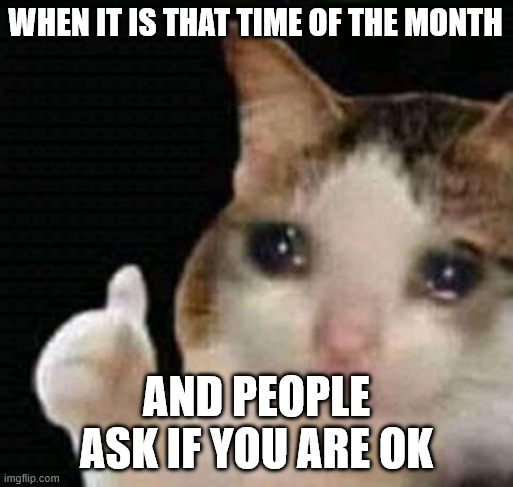sad thumbs up cat | when it is that time of the month; and people ask if you are ok | image tagged in sad thumbs up cat | made w/ Imgflip meme maker