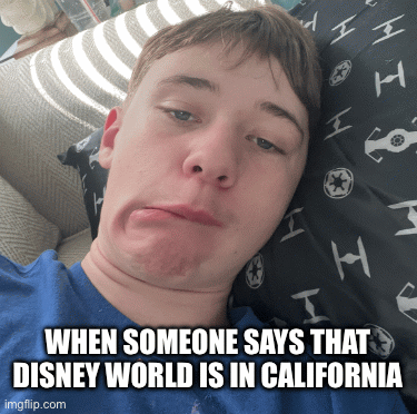 This is my face when someone says this | When someone says that Disney World is in California | image tagged in gifs,disney | made w/ Imgflip images-to-gif maker