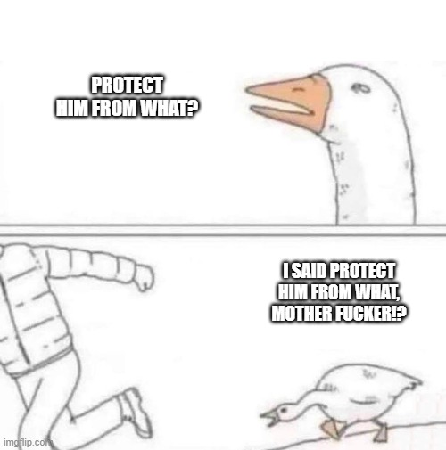 Goose Chase | protect him from what? i said protect him from what, mother fucker!? | image tagged in goose chase | made w/ Imgflip meme maker