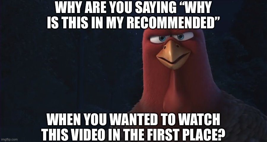 Please take to consideration | WHY ARE YOU SAYING “WHY IS THIS IN MY RECOMMENDED”; WHEN YOU WANTED TO WATCH THIS VIDEO IN THE FIRST PLACE? | image tagged in we're going back in time to,recommendations,youtube,youtube comments,comments,imagine looking at the tags | made w/ Imgflip meme maker