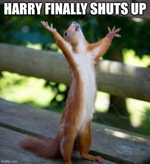 harry | harry finally shuts up | image tagged in all hail | made w/ Imgflip meme maker