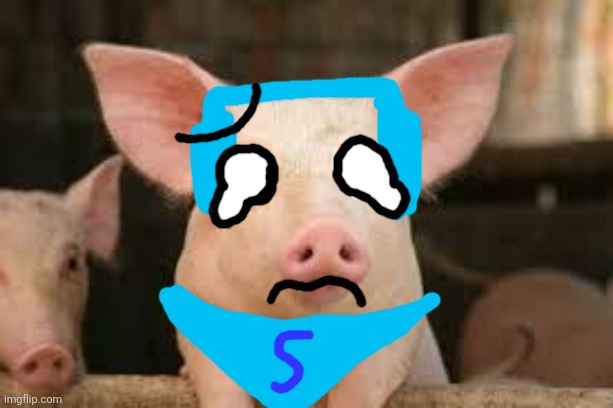 pig | image tagged in pig | made w/ Imgflip meme maker
