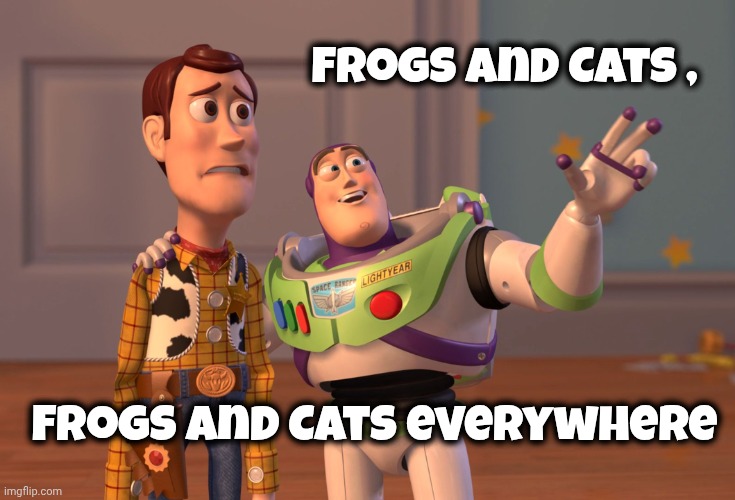 On 9GAG today | Frogs and Cats , Frogs and Cats everywhere | image tagged in memes,x x everywhere,don't bother,meme site,well yes but actually no,on the way out | made w/ Imgflip meme maker