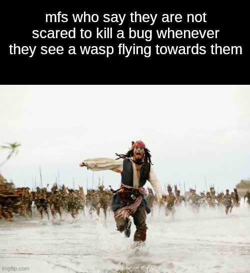AAAAAAAAAAAAAAAAAAAAAAAAAAAAAAAAAAAAAAA | mfs who say they are not scared to kill a bug whenever they see a wasp flying towards them | image tagged in jack sparrow being chased,bug,kill,wasp,mfs,scared | made w/ Imgflip meme maker