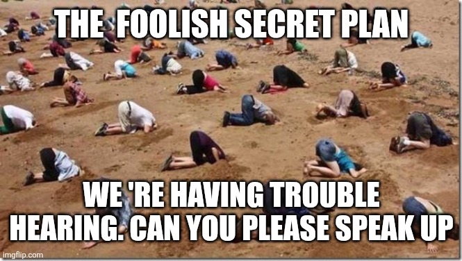 Head in sand | The  foolish secret plan; We 're having trouble hearing. CAN YOU PLEASE SPEAK UP | image tagged in head in sand,remix | made w/ Imgflip meme maker