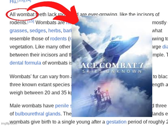 Ace Combat 7 name soundalike | made w/ Imgflip meme maker