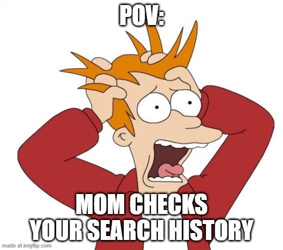 Panic | pov:; mom checks your search history | image tagged in relatable,search history | made w/ Imgflip meme maker
