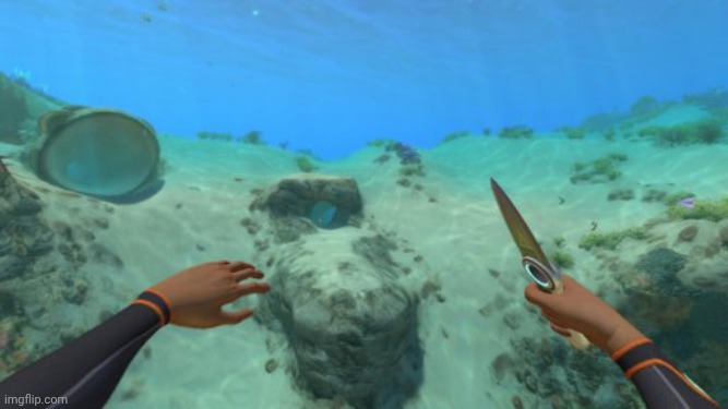 Subnautica Knife | image tagged in subnautica knife | made w/ Imgflip meme maker