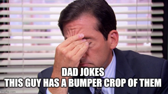 Annoying | Dad jokes 
This guy has a bumper crop of them | image tagged in annoying | made w/ Imgflip meme maker