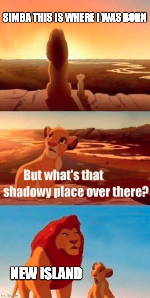 Simba Shadowy Place Meme | Simba this is where I was born; New island | image tagged in memes,simba shadowy place | made w/ Imgflip meme maker