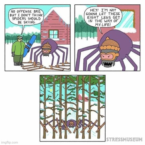 Spider stuck | image tagged in spider,spiders,skiing,ski,comics,comics/cartoons | made w/ Imgflip meme maker