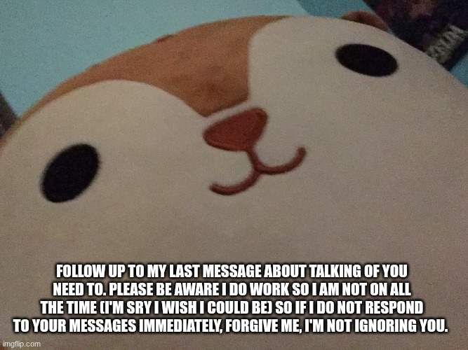 addition to my last squirrel post | Follow up to my last message about talking of you need to. Please be aware I do work so I am not on all the time (i'm sry I wish I could be) so if I do not respond to your messages immediately, forgive me, I'm not ignoring you. | made w/ Imgflip meme maker
