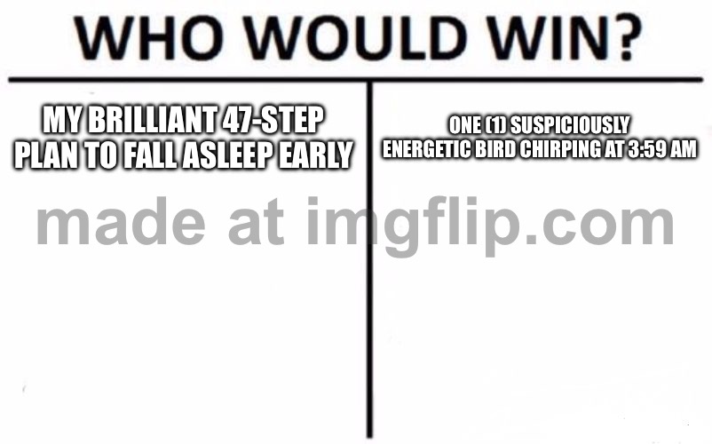MY BRILLIANT 47-STEP PLAN TO FALL ASLEEP EARLY | MY BRILLIANT 47-STEP PLAN TO FALL ASLEEP EARLY; ONE (1) SUSPICIOUSLY ENERGETIC BIRD CHIRPING AT 3:59 AM | image tagged in memes,who would win,3am,birds,sleep,plans | made w/ Imgflip meme maker