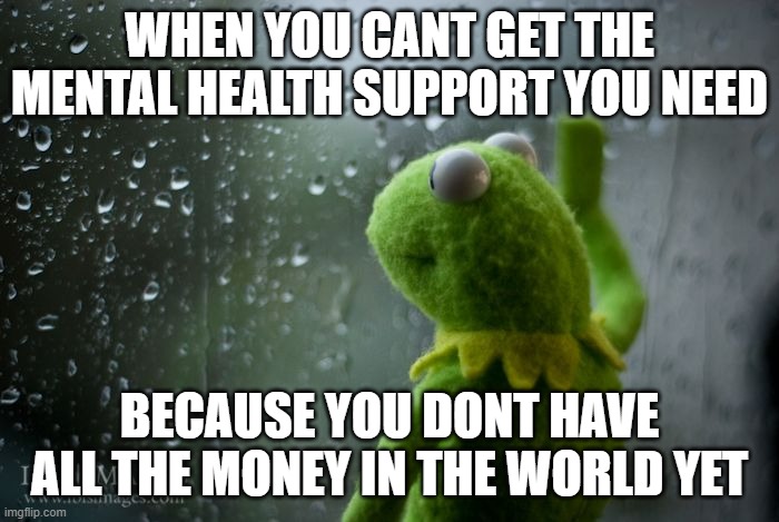 2026 meme | When you cant get the mental health support you need; because you dont have all the money in the world yet | image tagged in kermit window,money | made w/ Imgflip meme maker