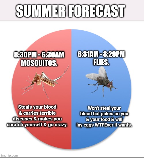 Pie chart half and half | Summer forecast; 6:31AM - 8:29PM
Flies. 8:30PM - 6:30AM
Mosquitos. Won't steal your blood but pukes on you & your food & will lay eggs WTFEver it wants. Steals your blood & carries terrible diseases & makes you scratch yourself & go crazy. | image tagged in pie chart half and half | made w/ Imgflip meme maker