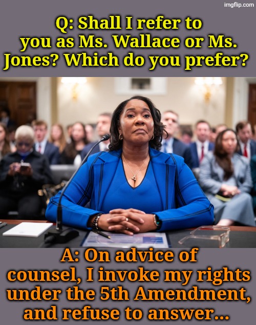 Democrats are perfectly honest 'n have NOTHING to hide!! | Q: Shall I refer to you as Ms. Wallace or Ms. Jones? Which do you prefer? A: On advice of counsel, I invoke my rights under the 5th Amendment, and refuse to answer... | made w/ Imgflip meme maker