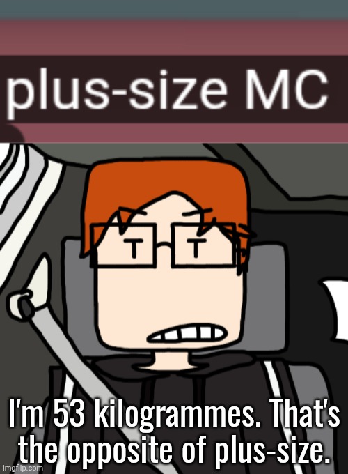 I'm 53 kilogrammes. That's the opposite of plus-size. | image tagged in mc in the car | made w/ Imgflip meme maker