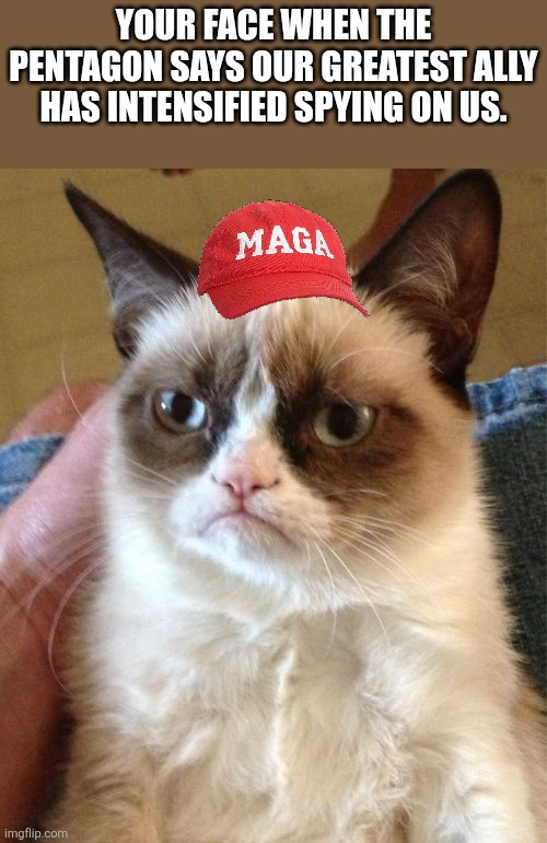 Our greatest ally | Your face when the Pentagon says our greatest ally has intensified spying on us. | image tagged in israel,iran,maga,nevertrump,donald trump,trump | made w/ Imgflip meme maker