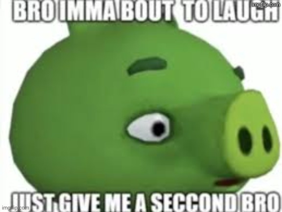 arlqmq.jpg | image tagged in arlqmq jpg | made w/ Imgflip meme maker