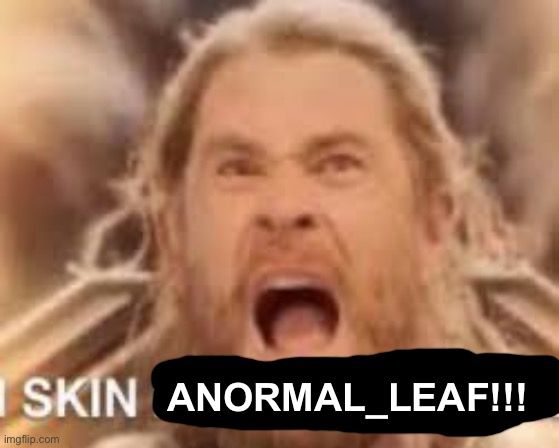 IMG_1316.jpeg | Anormal_leaf!!! | image tagged in img_1316 jpeg | made w/ Imgflip meme maker