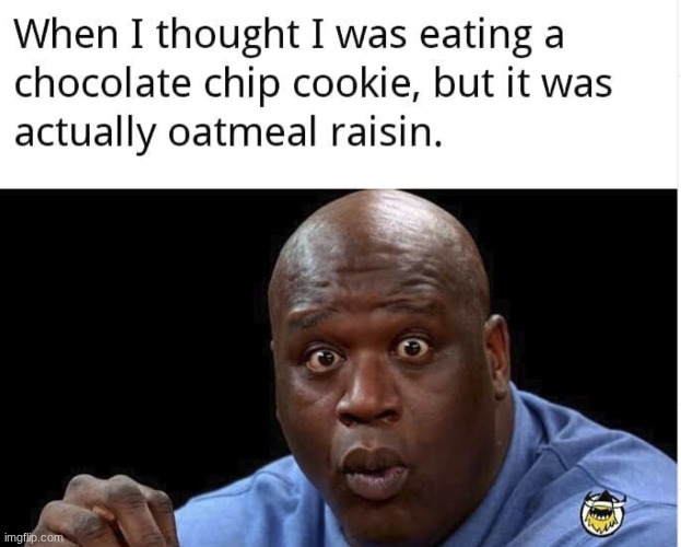 ngl oatmeal raisins taste good! | image tagged in surprised shaq,cookies,relatable,flick7 | made w/ Imgflip meme maker