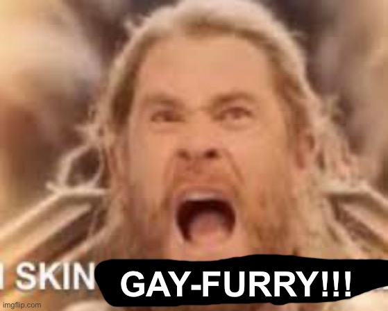 IMG_1316.jpeg | Gay-furry!!! | image tagged in img_1316 jpeg | made w/ Imgflip meme maker