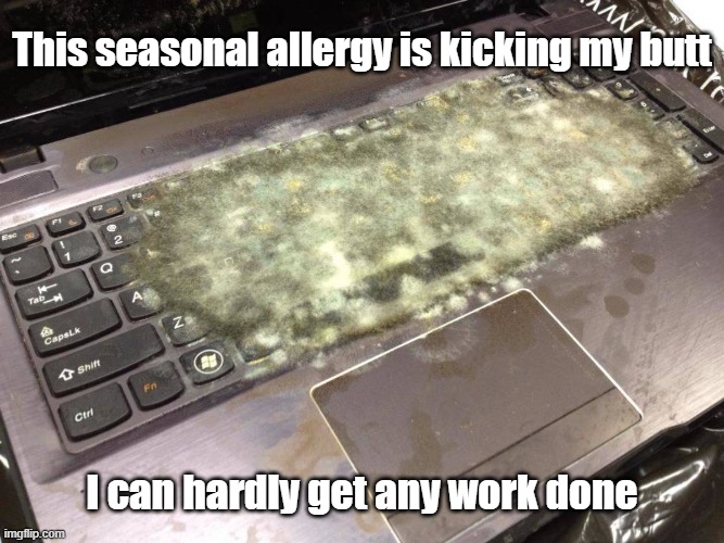 Snot Cool Man | This seasonal allergy is kicking my butt; I can hardly get any work done | image tagged in allergies,work,sneezing,the nose knows | made w/ Imgflip meme maker