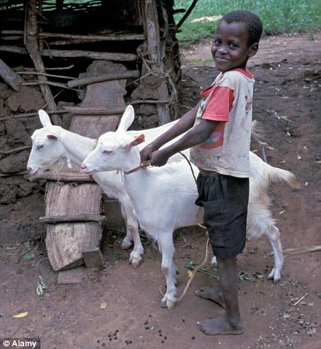Smug African Goat Boy Blank Meme Template